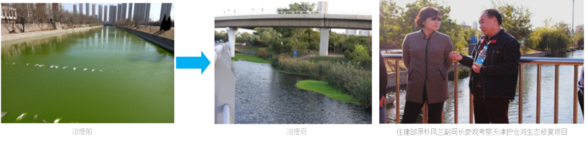 这是描述信息