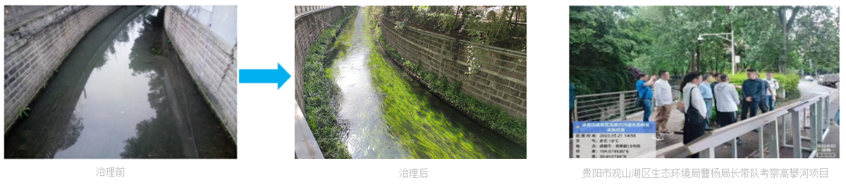 这是描述信息